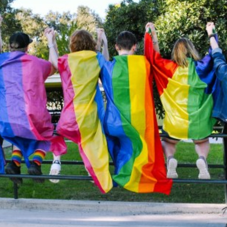 Gender/Queer/Trans Studies Funding Opportunities for Early Career Scholars